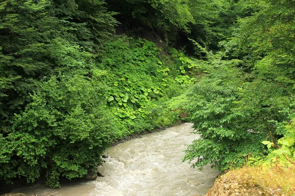 Río Fangoso Con Patas Hermoso Cañón Región Guba Azerbaiyán — Foto de Stock