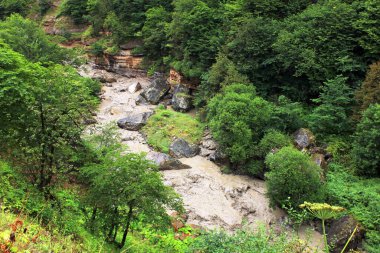 Güzel bir kanyonda çamurlu bir nehir. Guba bölgesi. Azerbaycan.