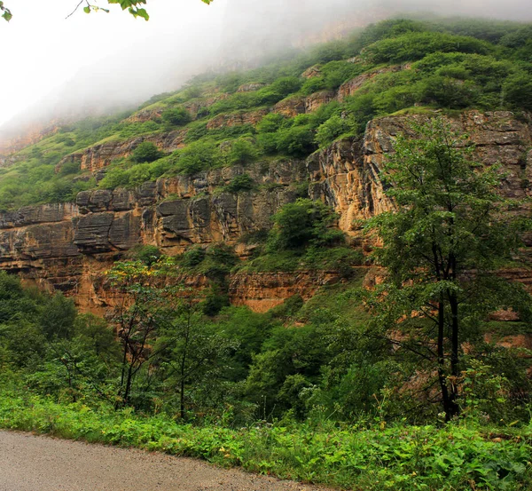 Route Dans Magnifique Canyon Route Village Gryz Région Guba Azerbaïdjan — Photo