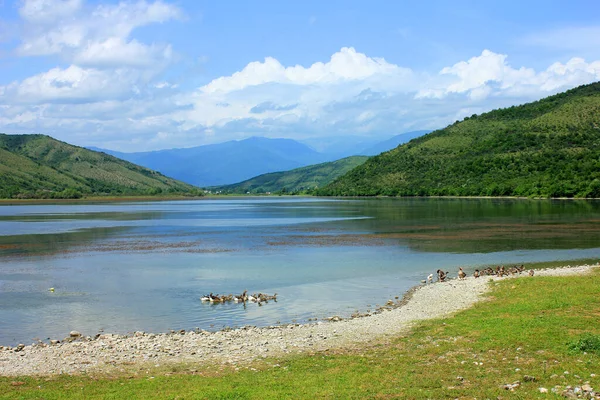 湖のそばの草の上のジーン ニブル — ストック写真