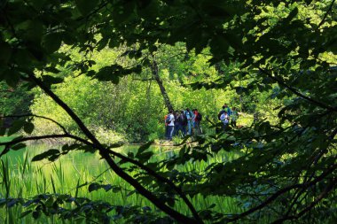 Shabran bölgesi. Azerbaycan. 05.22.2016