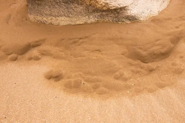 Текстура Песка Между Скалами Моря — стоковое фото