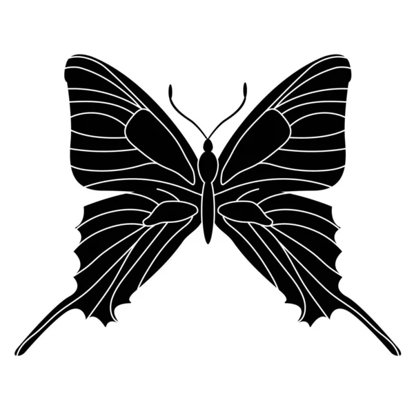 Schmetterling Insekt Silhouette Umriss Auf Weißem Hintergrund — Stockvektor
