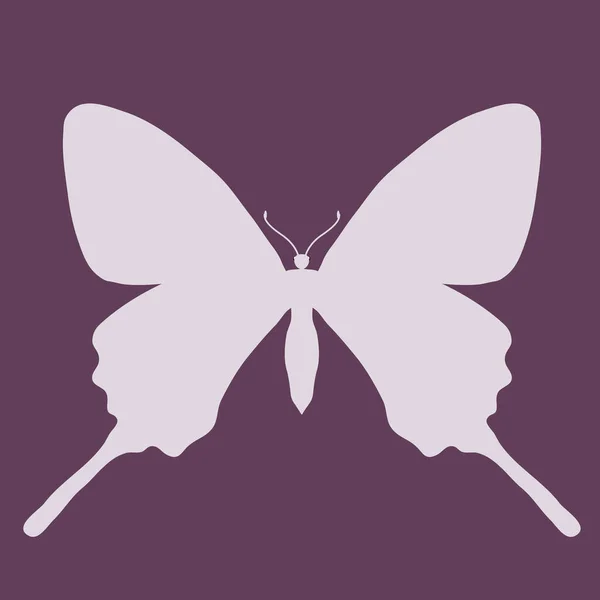 Silhouette Insecte Papillon Contour — Image vectorielle