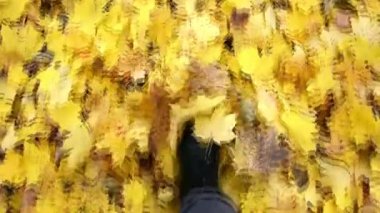 Kadınların bacakları sarı yaprakların üzerinde yürür. Sonbaharda parkta ağaçlar.