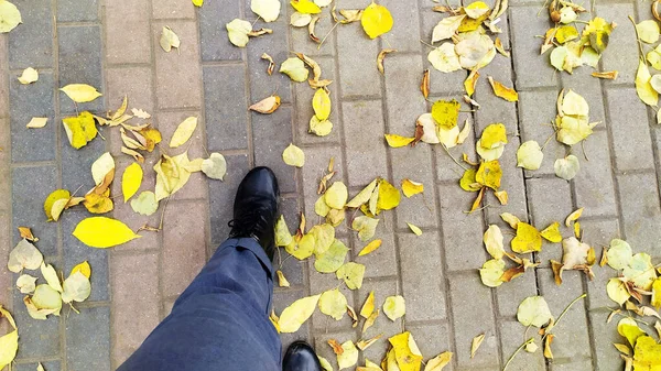 Feuilles Érable Tombées Sous Pied Promenades Aux Pieds Long Trottoir — Photo