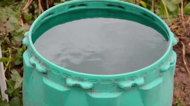 Barrel Water Water Garden Barrel Watering Plants — Stock Video