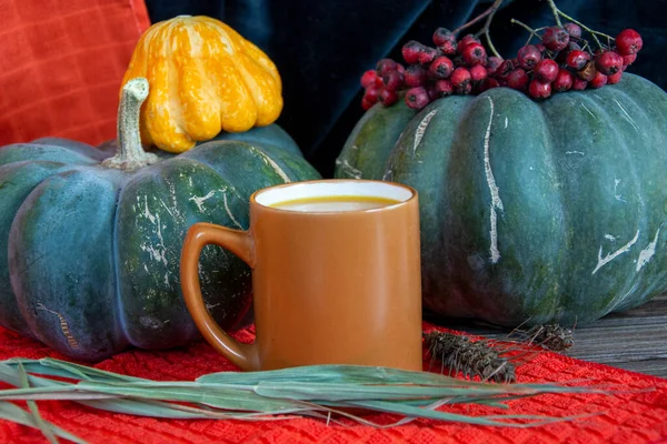 Bodegón Otoño Con Calabazas Calabazas Velas Cereales Una Taza Sobre Imágenes de stock libres de derechos