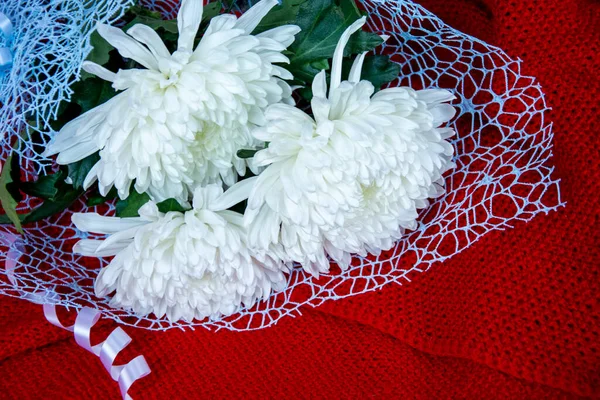 Bouquet White Flowers Red Background Atra Flowers Close — Stock Photo, Image