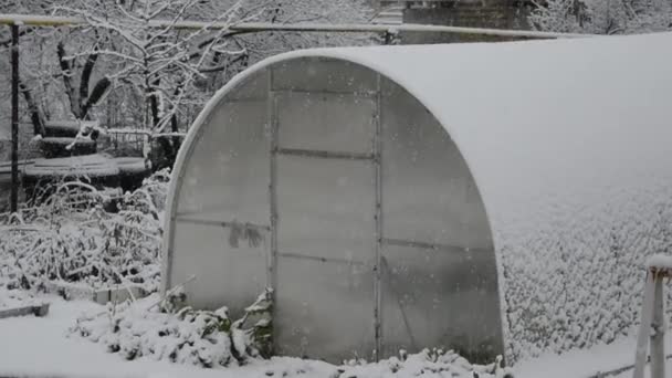 Nieve Nieve Durmió Invernadero Huerto — Vídeo de stock