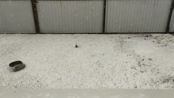 Schnee Fällt Auf Das Gras Der Erste Schnee Bedeckte Den — Stockvideo