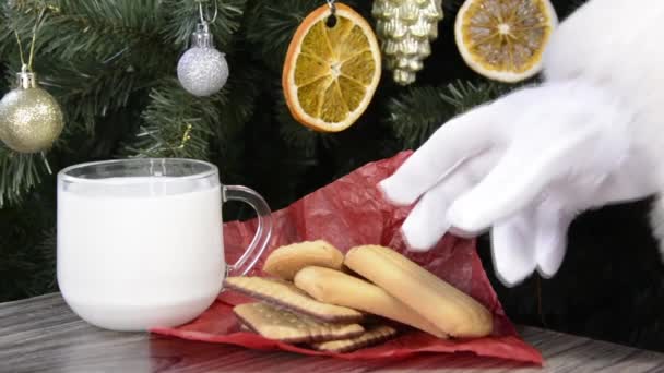Moş Crăciun Mănâncă Prăjitură Lăsată Sub Copac Biscuiți Lapte Pentru — Videoclip de stoc