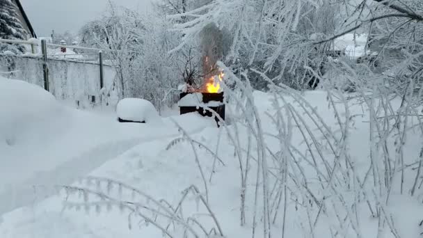 Eliminación Invierno Quemando Basura Barril Metal Fuego Nieve — Vídeo de stock