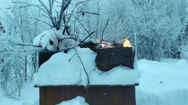 冬天把垃圾放在金属桶里烧 雪中的火 — 图库视频影像