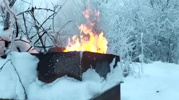 Огонь Снегу Сжигание Мусора Металлической Бочке Зимой — стоковое видео