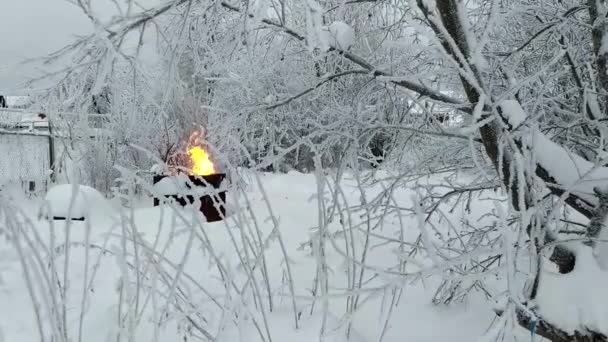 Утилизация Отходов Зимой Сжигание Мусора Металлической Бочке Огонь Снег — стоковое видео