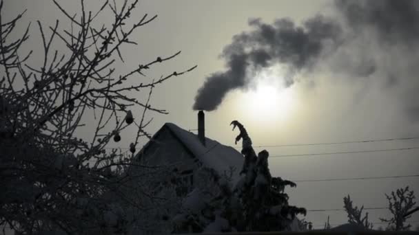 Verwarming Van Een Eigen Huis Rook Nachts Uit Schoorsteen Winternacht — Stockvideo