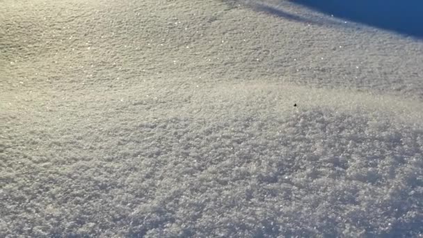 Neve Textura Cobertura Neve Flocos Neve — Vídeo de Stock