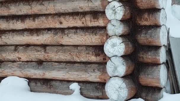 Budowa Drewnianych Domów Dom Dziennika Kąpiel Drewniana — Wideo stockowe