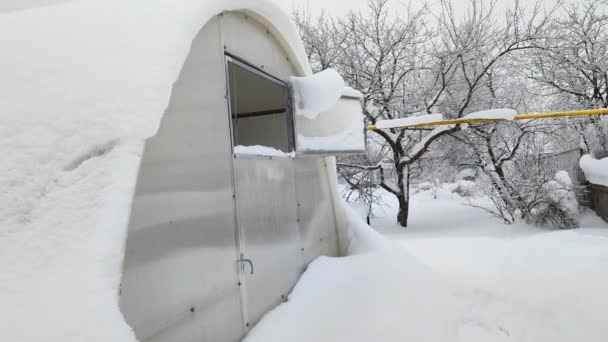 雪の中の温室 冬の果樹園 裏庭は雪に覆われていた — ストック動画