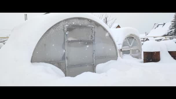 Fondo Nieve Invernadero Fondo Nieve Invernadero — Vídeos de Stock