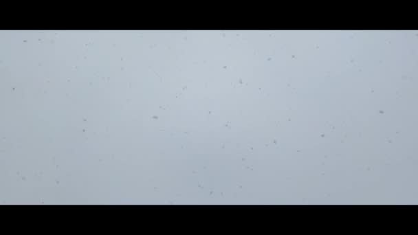 Falling White Snow Snowfall Snow Flies Space Snowy Weather — Stock Video