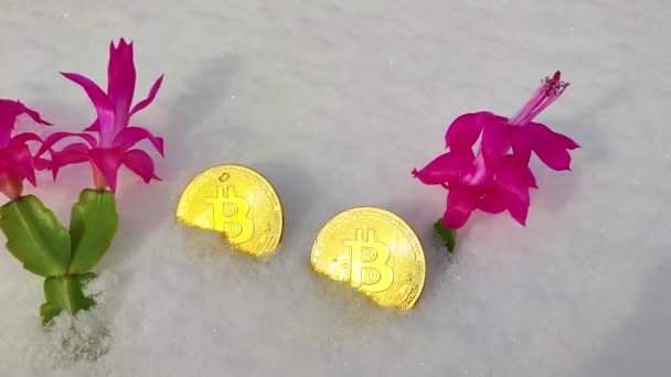 Bitcoin Criptomoneda Bitcoin Dinero Electrónico Nieve — Vídeos de Stock
