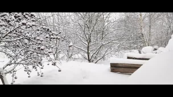 Λευκό Χιόνι Πέφτει Στον Κήπο Χιονίζει Στην Εξοχή Χιόνι Πετάει — Αρχείο Βίντεο