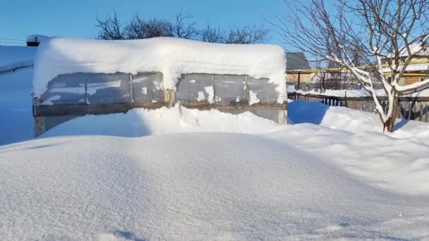 겨울에는 온실이죠 시골의 눈덮인 채소밭 — 비디오