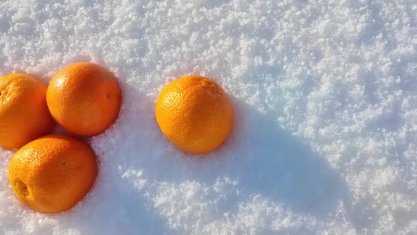 Narancsok Hevernek Hóban Tangerine Fekszik Hóban Télen — Stock videók