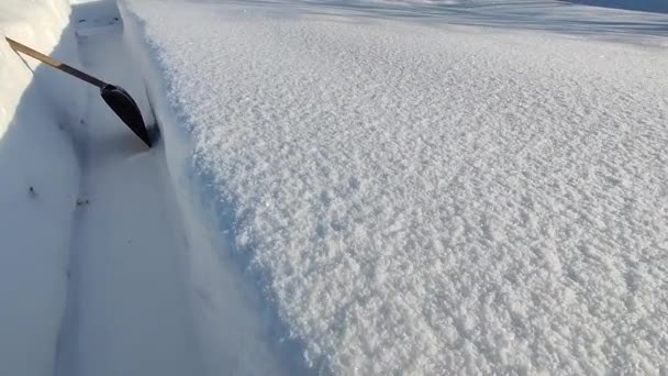Deriva Nieve Pala Nieve Con Una Pala Senderos Nieve Jardín — Vídeos de Stock
