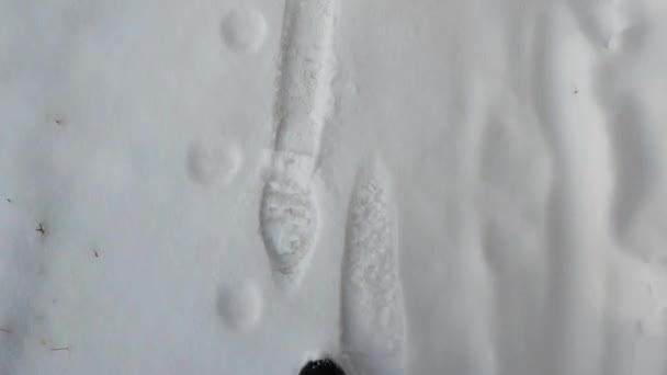 穿着黑靴子的腿在刚刚下过雪的雪地上行走 雪地上的脚印 — 图库视频影像