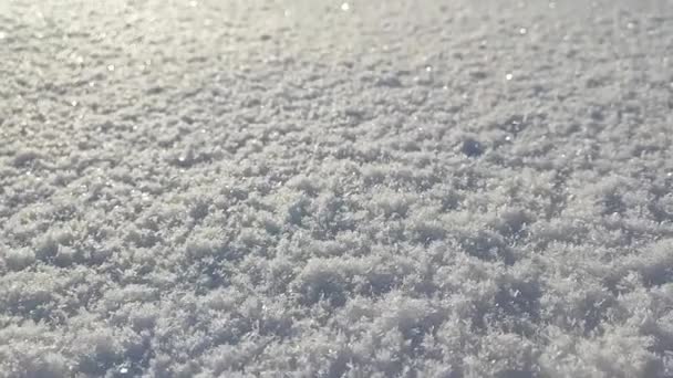 Kamerafahrt Vorwärts Auf Schneebedecktem Feld — Stockvideo