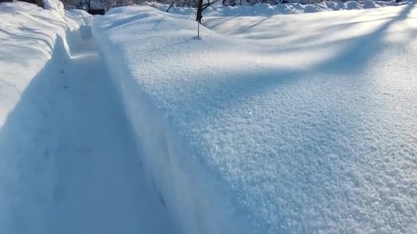 镜头沿着花园的雪道移动 — 图库视频影像
