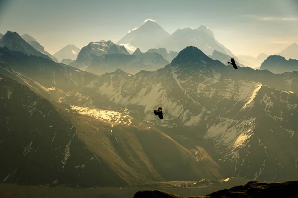 Deux Corbeaux Noirs Élèvent Parmi Les Hauts Sommets Montagne Terre — Photo