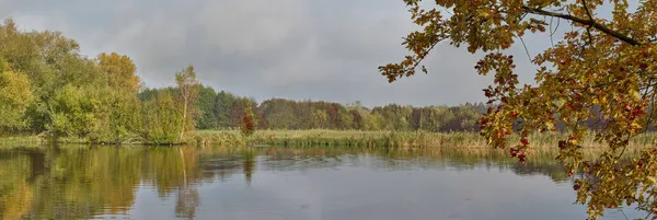 Панорамный Снимок Идиллического Озера Осенью Облачным Небом — стоковое фото
