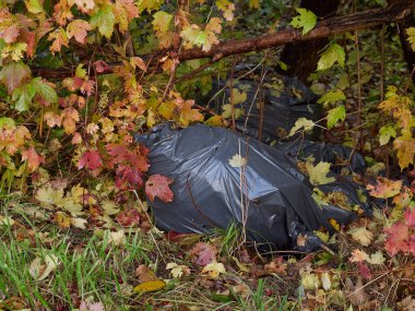 Ormanda plastik poşetlerle kirlilik