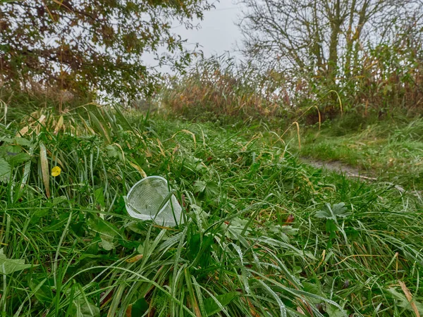 Ormanda plastik bardakla bir kirlilik