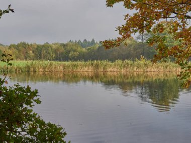 Ormanda evi olan bir gölet.