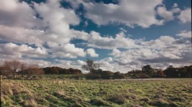 Sığırlarla dolu bir kırsal bölgede zaman aşımı