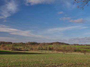 Tarlaları ve mavi gökyüzü olan bir Alman manzarası.