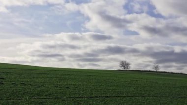 Temiz bir çizgisi ve yapraklı bir ağacı olan bir tepenin zaman aralığı.