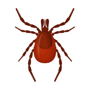 Mite. Image of a parasite tick. The blood-sucking insect is a pest. Vector illustration isolated on a white background.