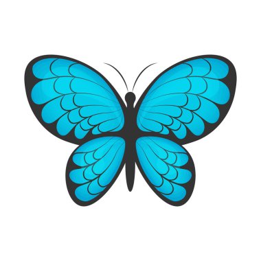 Kelebek. Güzel mavi bir kelebeğin görüntüsü. Parlak bir güve. Beyaz arkaplanda izole edilmiş vektör illüstrasyonu