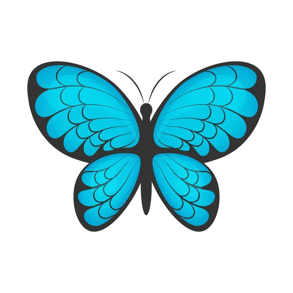 Butterfly. The image of a beautiful blue butterfly. A bright moth. Vector illustration isolated on a white background — Stock Vector