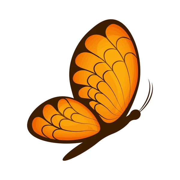 Метелик. Зображення красивого помаранчевого метелика, вид збоку. Яскравий метелик. Векторні ілюстрації ізольовані на білому тлі — стоковий вектор
