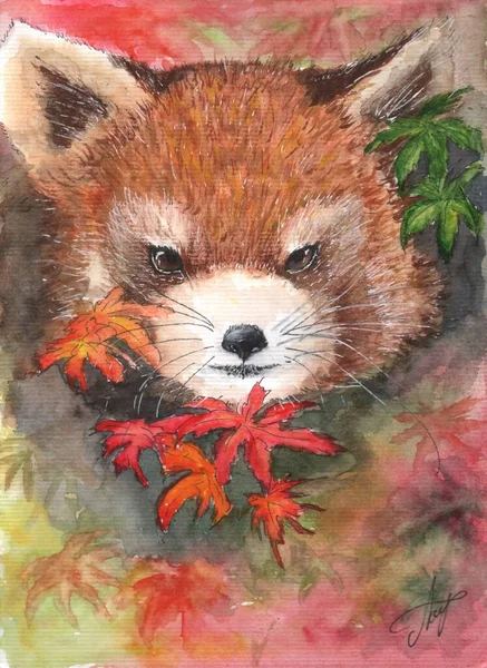 watercolor illustration of red panda in autumn