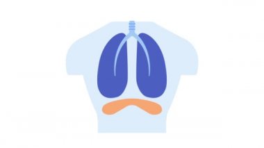 Diyafram solunumu. Akciğerleri ve diyafram kası olan insan vücudu nefes alıyor ve 2 boyutlu nefes veriyor. Sağlık, anatomi, hastalık. Solunum, bilim, solunum sistemi gibi konularda kullanılabilir.