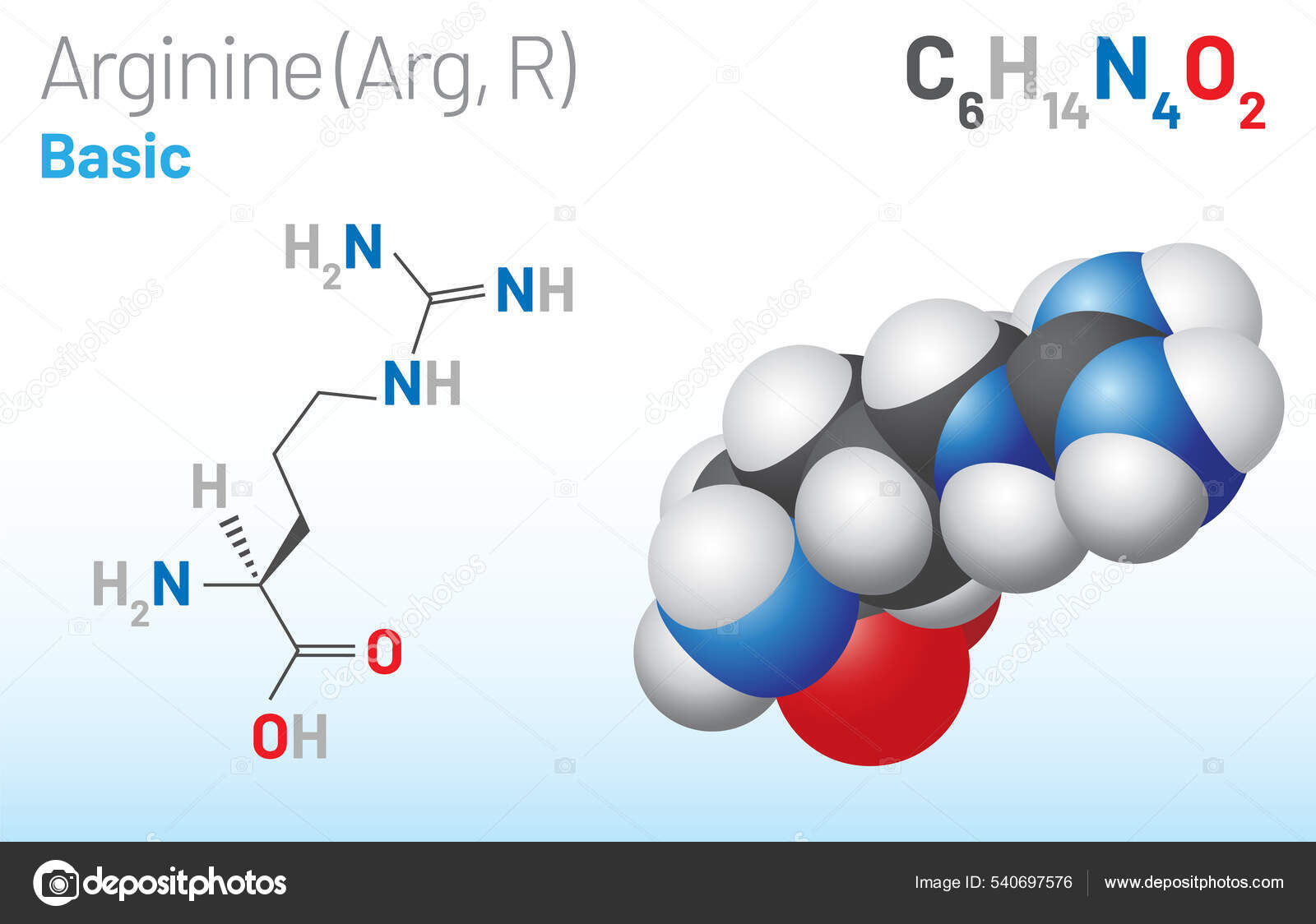 Arginina Arg Molécula Aminoácidos Fórmula Química C6H14N4O2 Utiliza Arginina Arg Molécula Aminoácidos Fórmula Química C6H14N4O2 Utiliza