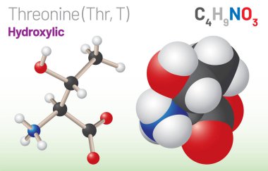 Threonine (Thr, T) amino acid molecule. (Chemical formula C4H9NO3) it is used in the biosynthesis of protein. Ball-and-stick model, space-filling model and skeletal formula. Layered vector illustration